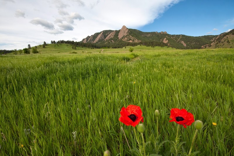 Bear Country Colorado LLC