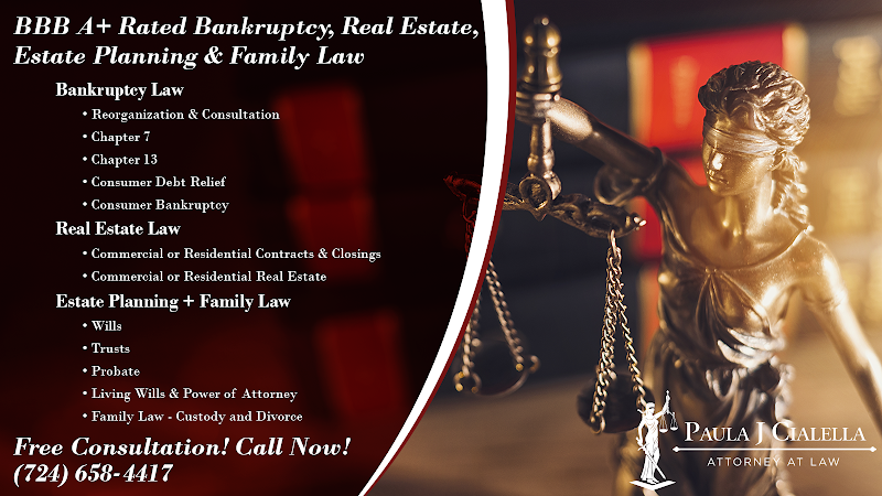 Levine Law LLC