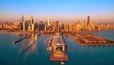 David M. Siegel & Associates